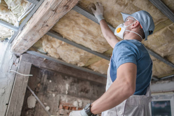 Best Insulation Inspection Services  in USA